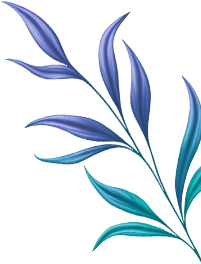 Sakura Cleaning professional cleaning services